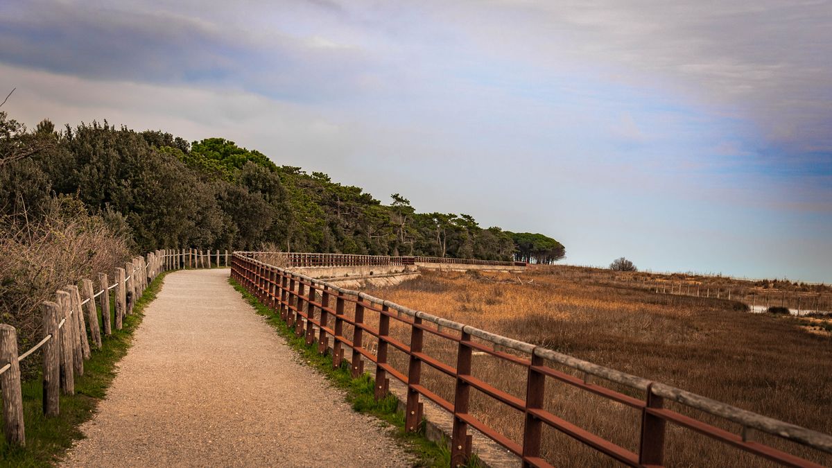 Tracing Smuggling Routes Along the British Coast